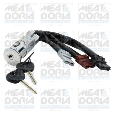 Steering Lock